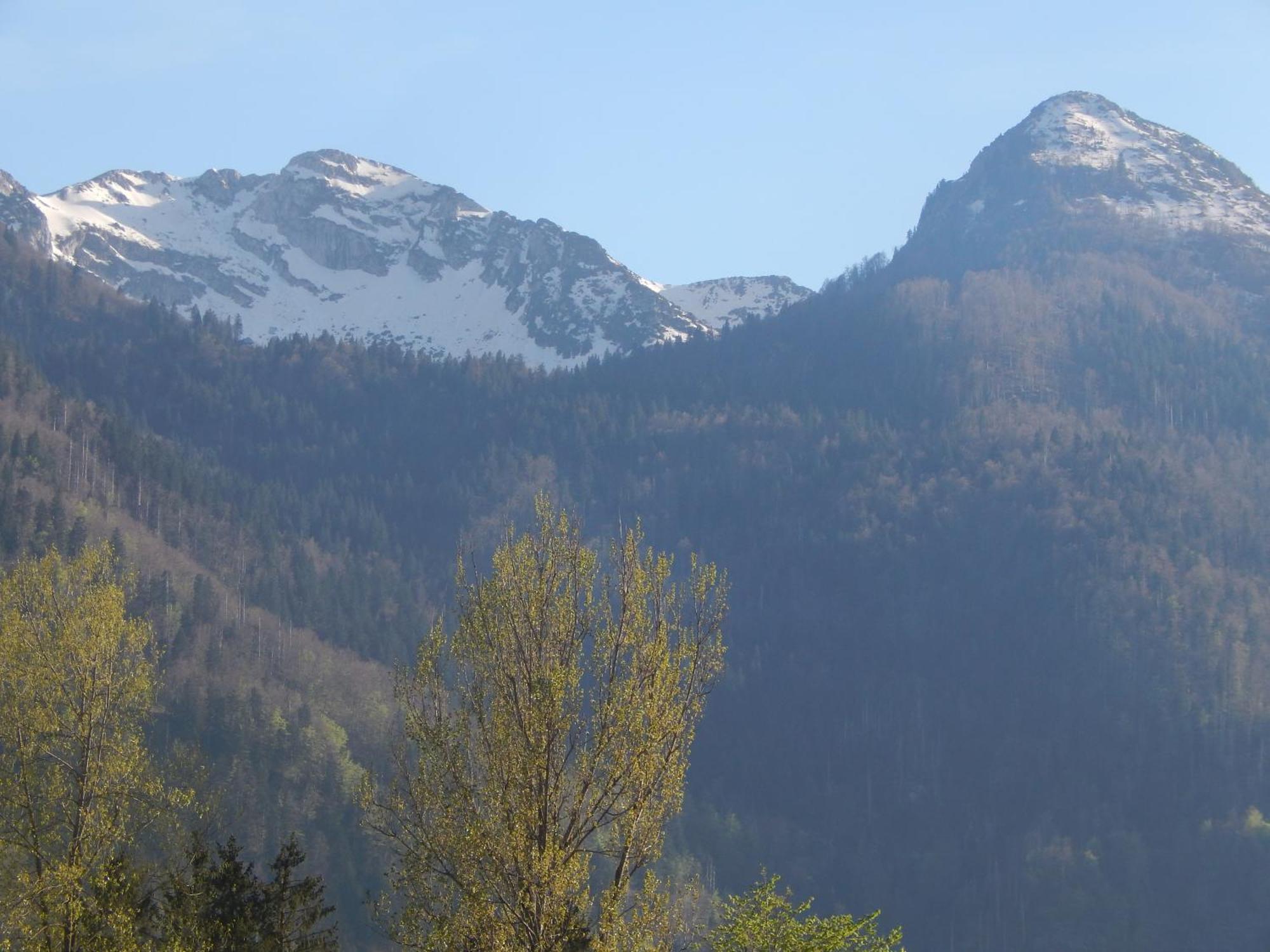 Apartments Bb Bohinj Exterior photo